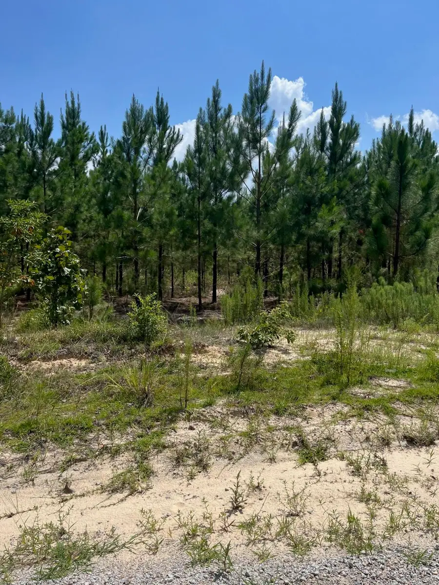 Bff 1b Brunson Teal Road #Bff 1b, Patrick, SC 29584 - Image #2