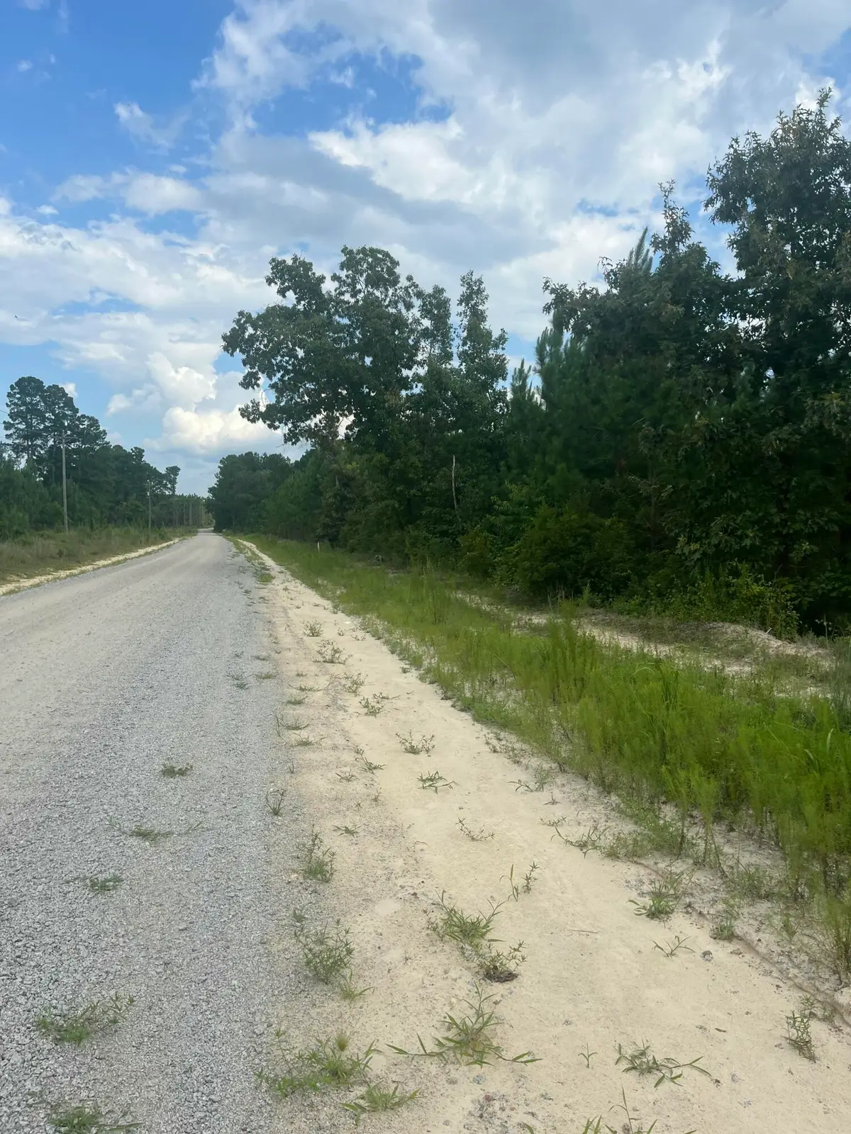 Bff 1e Brunson Teal Road #Bff 1e, Patrick, SC 29584 - Image #1