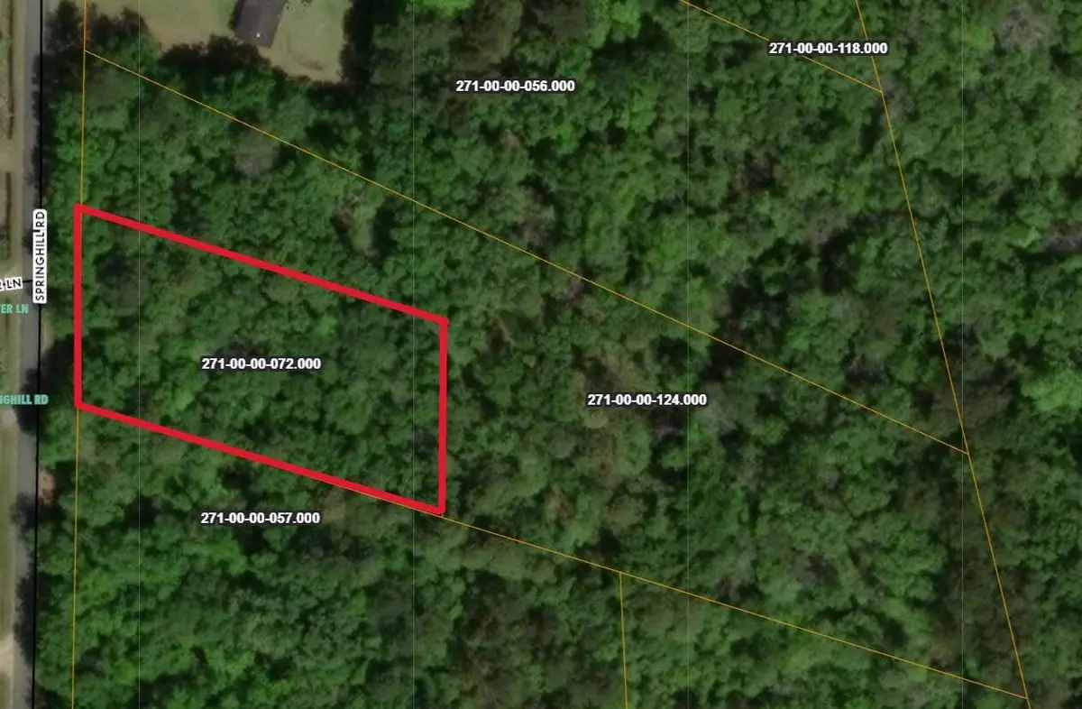 00 Springhill, Green Pond, SC 29446 - #1