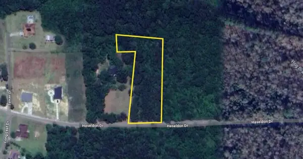 1868 Haseldon Drive, Manning, SC 29102