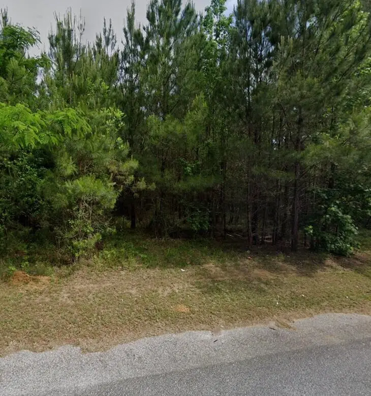 1868 Haseldon Drive, Manning, SC 29102 - Image #2