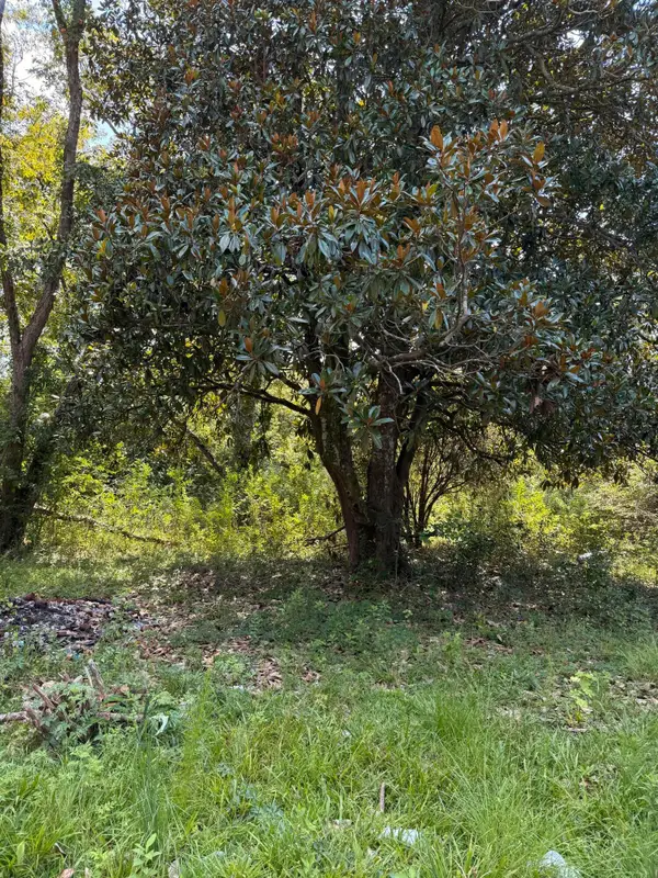 0 Cotton Street, Denmark, SC 29042