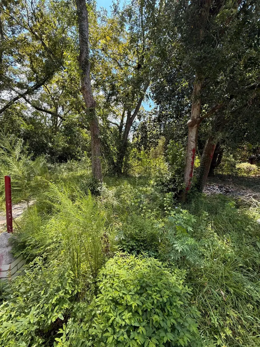 0 Cotton Street, Denmark, SC 29042 - Image #2