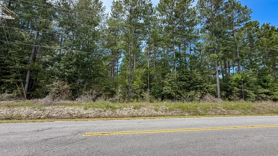 0 Peurifoy Road, Walterboro, SC 29488 - Image #2