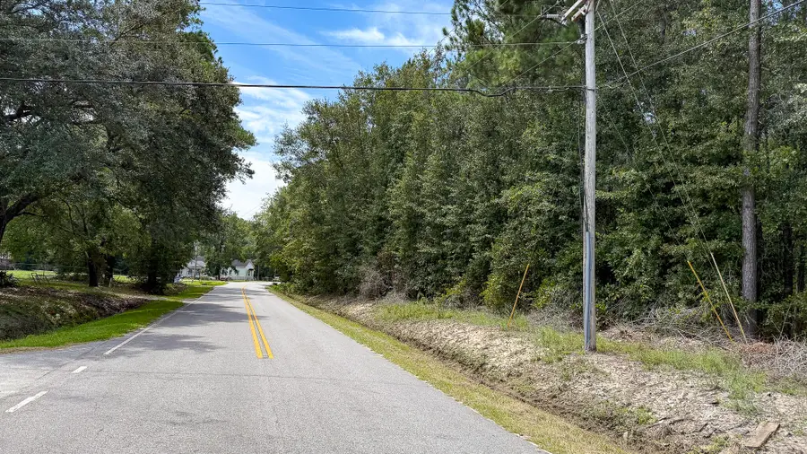 0 Peurifoy Road, Walterboro, SC 29488 - Image #3