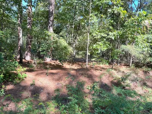 0 A Acorn Lane, Santee, SC 29142 - Image #3