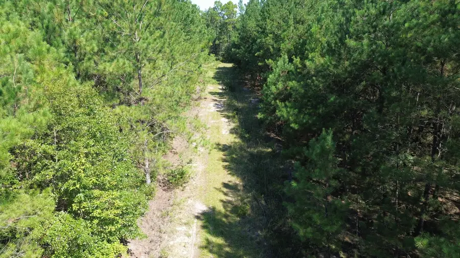 10 Red Oak Road, Cottageville, SC 29435 - Image #2