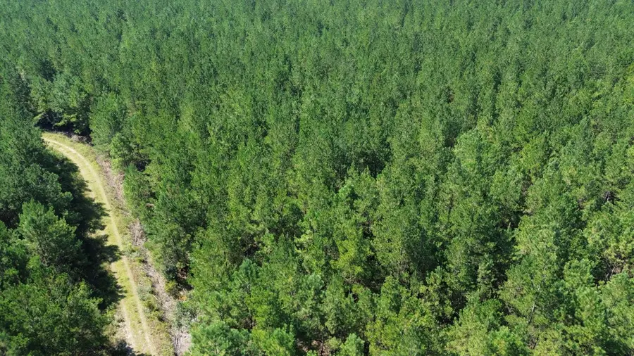 15 Red Oak Road, Cottageville, SC 29435 - Image #3