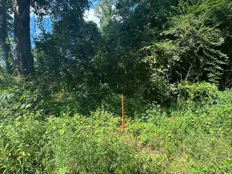 000 Beason Road, Orangeburg, SC 29115 - Image #3