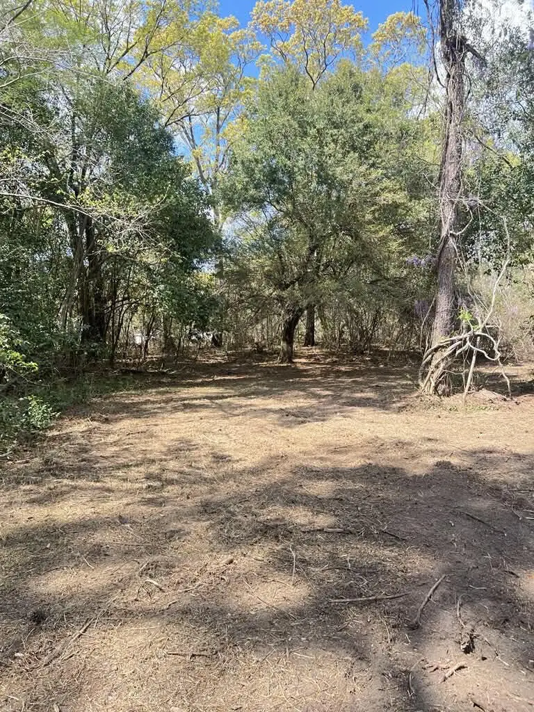 111-A Roberta Drive, Eutawville, SC 29048 - #3