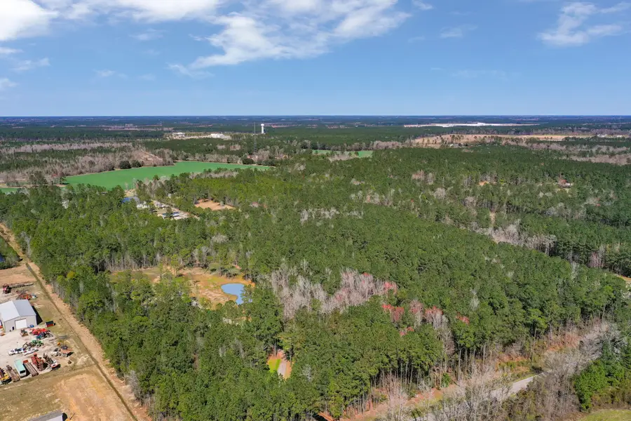 00 Myers Mayo Lot 4 Road, Ridgeville, SC 29472 - Image #3