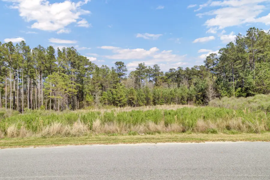 1319 Wood Sorrel Drive, Moncks Corner, SC 29461 - #3