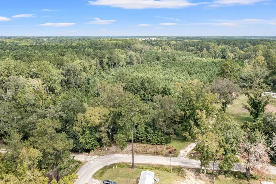 0 Edgewood Street, Walterboro, SC 29488 - Image #3