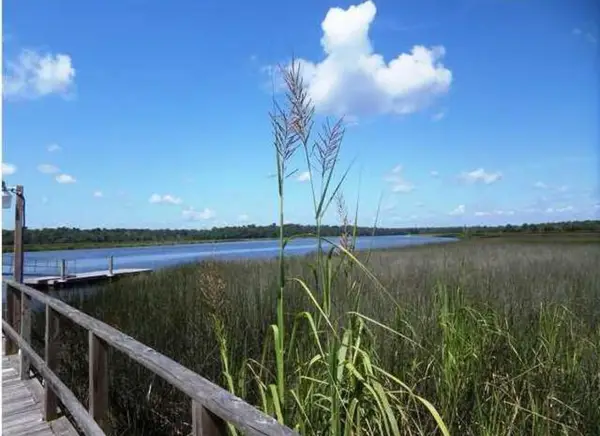 4543 Great Oak Drive, North Charleston, SC 29418