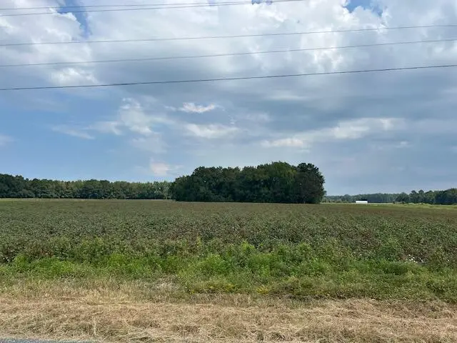 0 Cardinal Road, Elloree, SC 29047 - Image #2