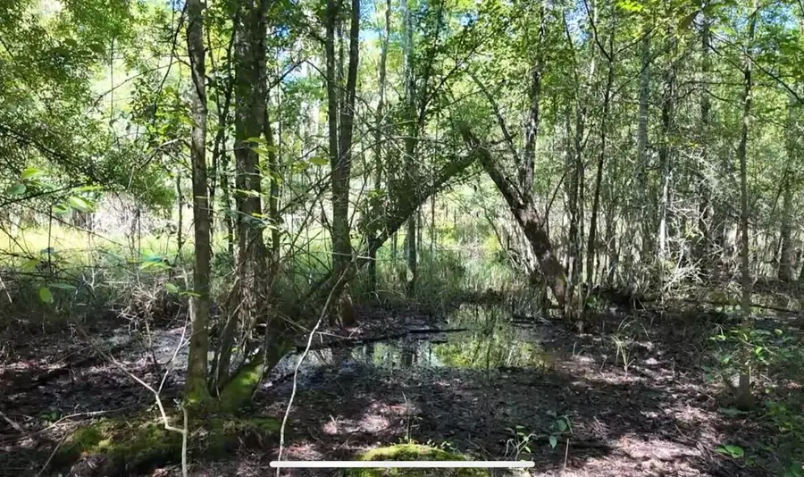 00 Misty Ridge Lane, Walterboro, SC 29488 - Image #3