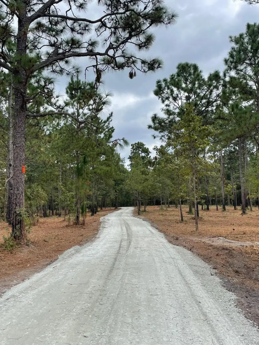 3 Hwy 45, Cross, SC 29436 - Image #2