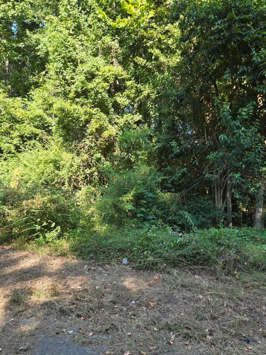 0 Anna Street, Orangeburg, SC 29115 - Image #3