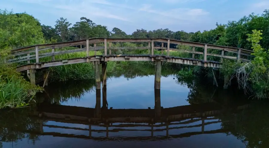 313 Rossdhu Avenue, Pawleys Island, SC 29585 - Image #3