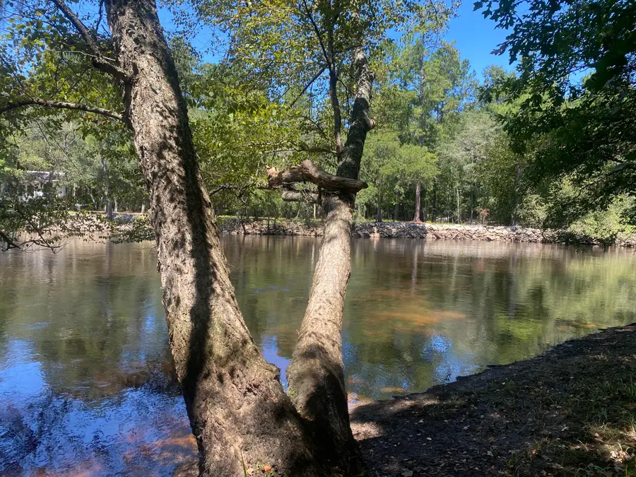 0 Hobbie Lane, Round O, SC 29474 - Image #2