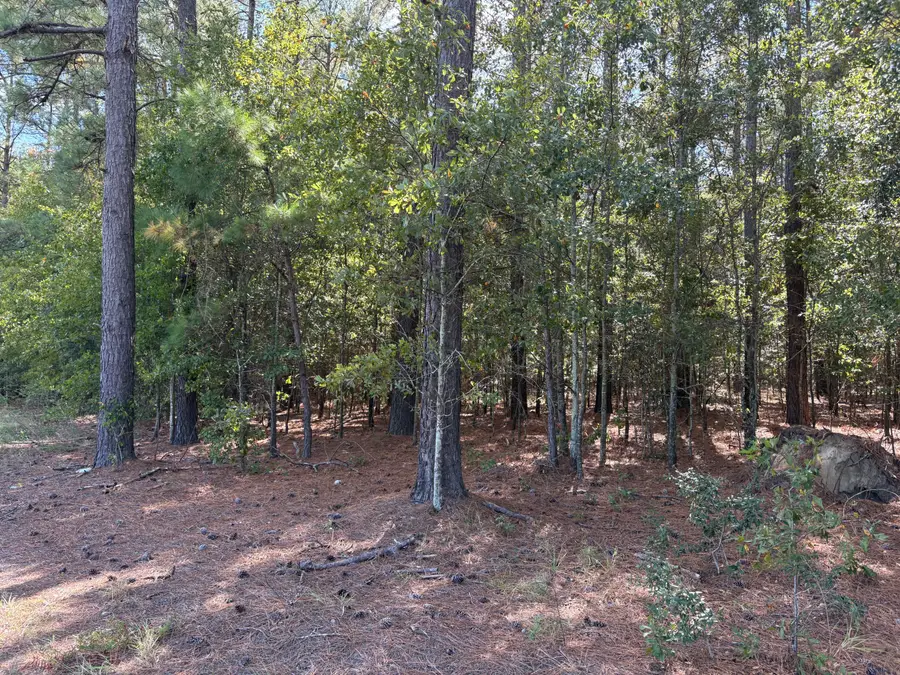 000 Slab Landing Road, Cope, SC 29038 - Image #3