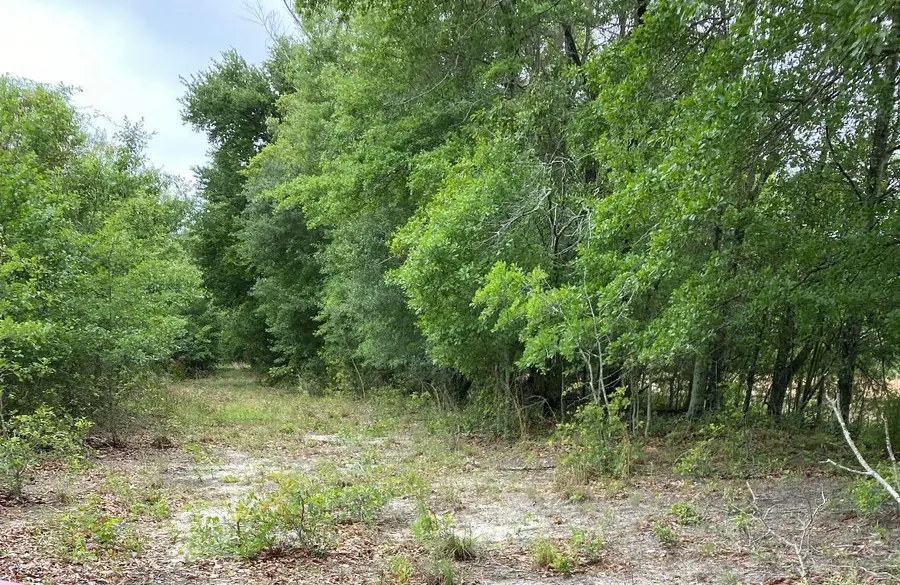 00 Salley Road, North, SC 29112 - #2