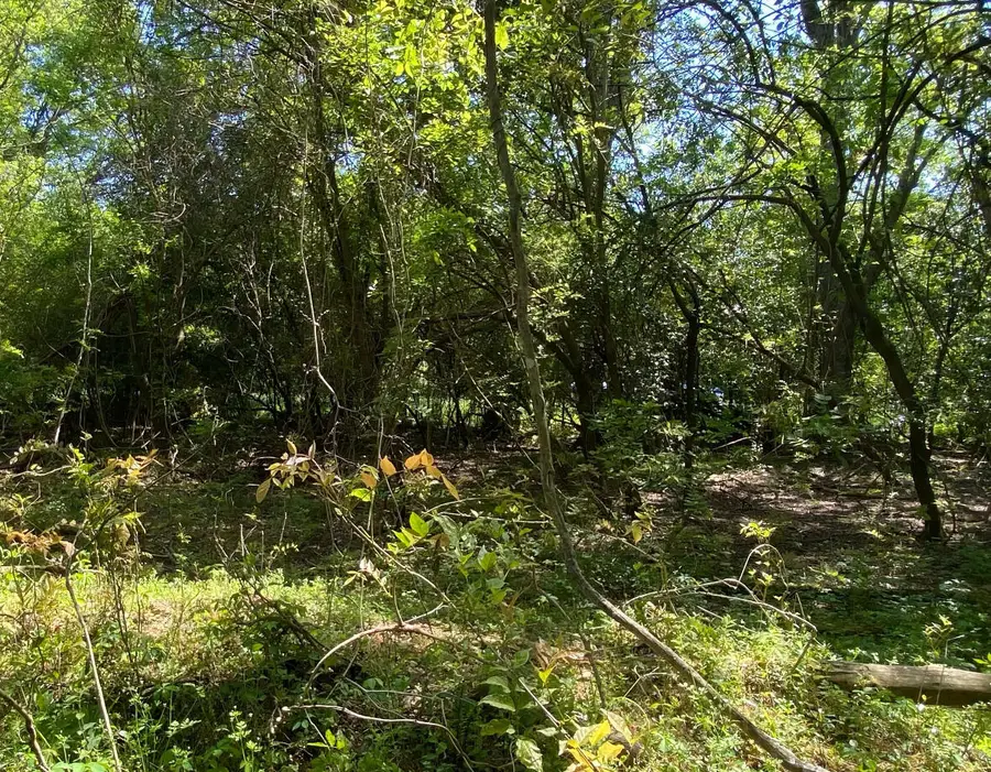 00 Salley Road, North, SC 29112 - #3
