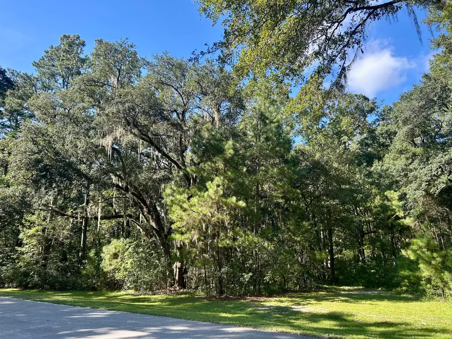 7 Blake Lane, Seabrook, SC 29940 - #2