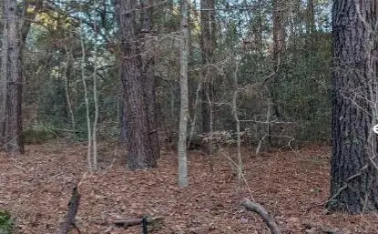 1981 Liberia Road, Wadmalaw Island, SC 29487