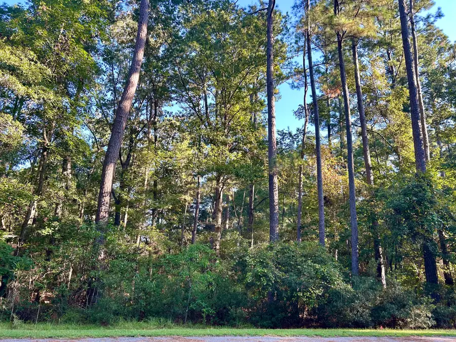 12 Barnaby Blf, Seabrook, SC 29940 - #2