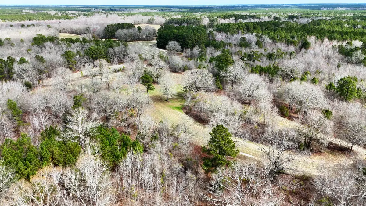 7998 Kenwood Road, Greeleyville, SC 29056 - Image #1