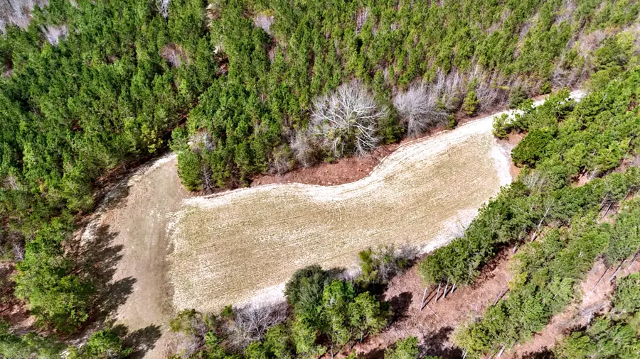 7998 Kenwood Road, Greeleyville, SC 29056 - Image #3