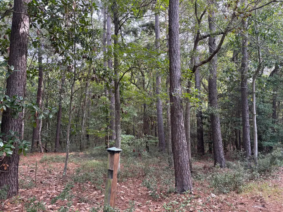 0 Providence Circle, Awendaw, SC 29429 - Image #2