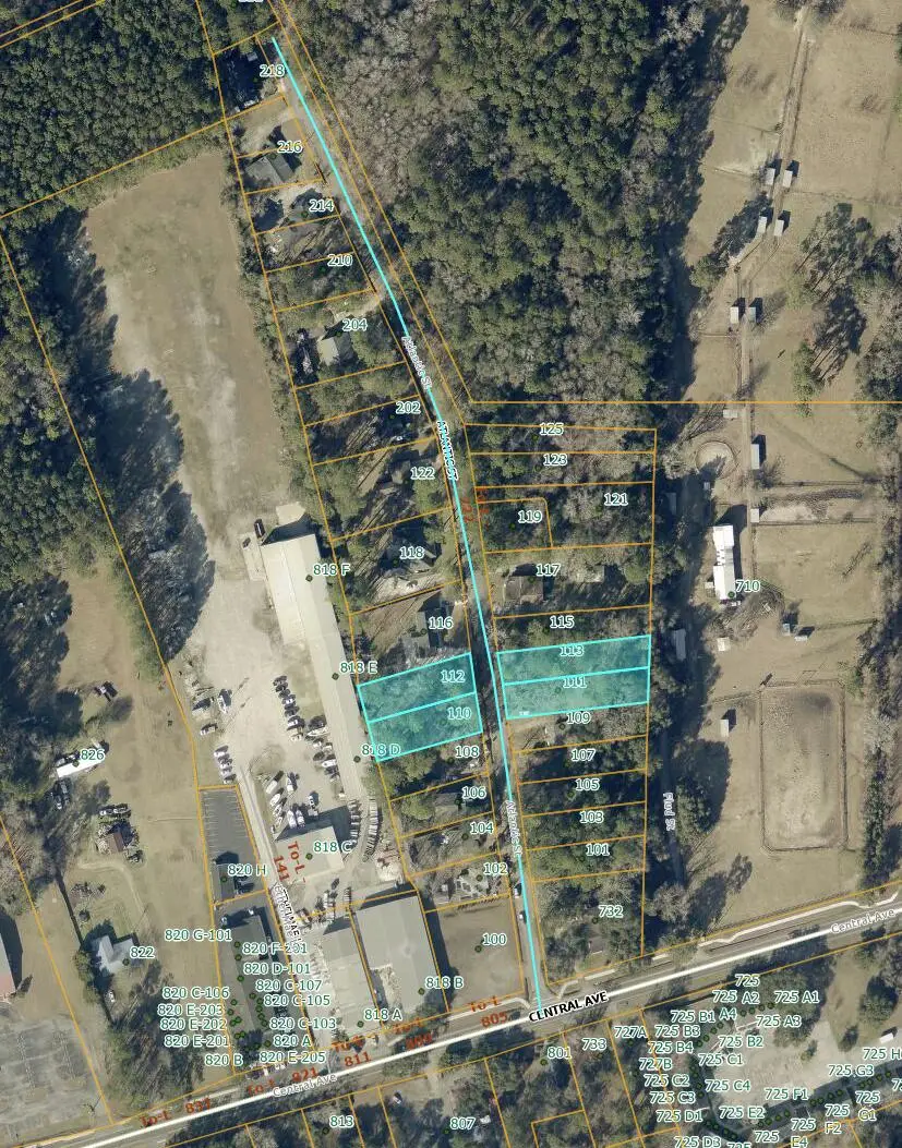 111 Atlantic Street, Summerville, SC 29483 - #3