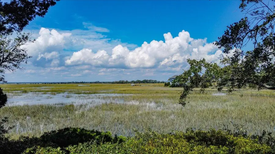 12 Marsh Island Lane, Isle Of Palms, SC 29451 - Image #3