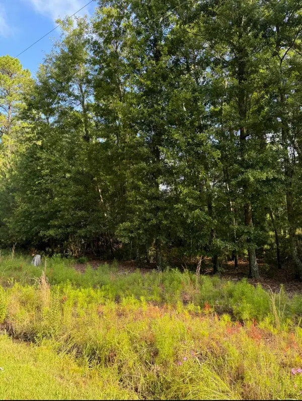 1042 Millies Way Drive, Moncks Corner, SC 29461