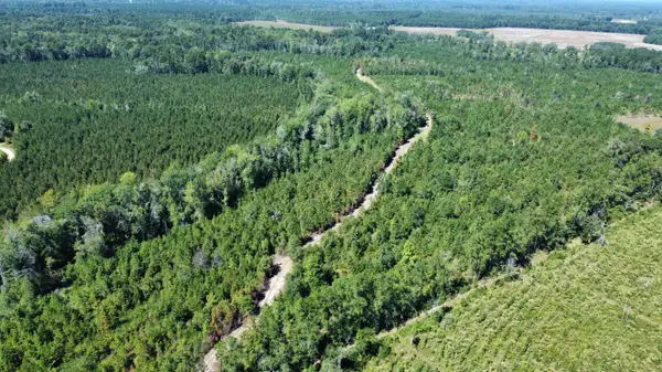 0 Beavers Pass Road, Smoaks, SC 29481