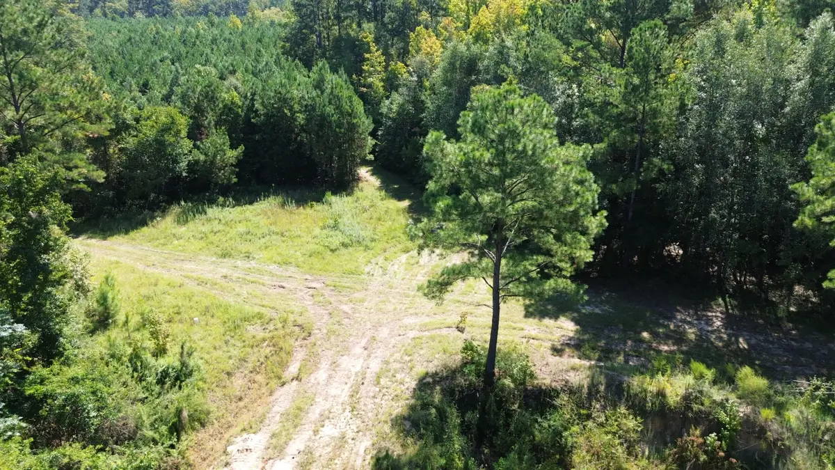 1 Lowcountry Highway, Ruffin, SC 29475 - #1