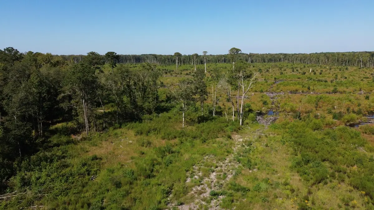 0 Hwy 63, Ruffin, SC 29475 - #1