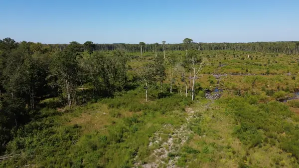 0 Hwy 63, Ruffin, SC 29475