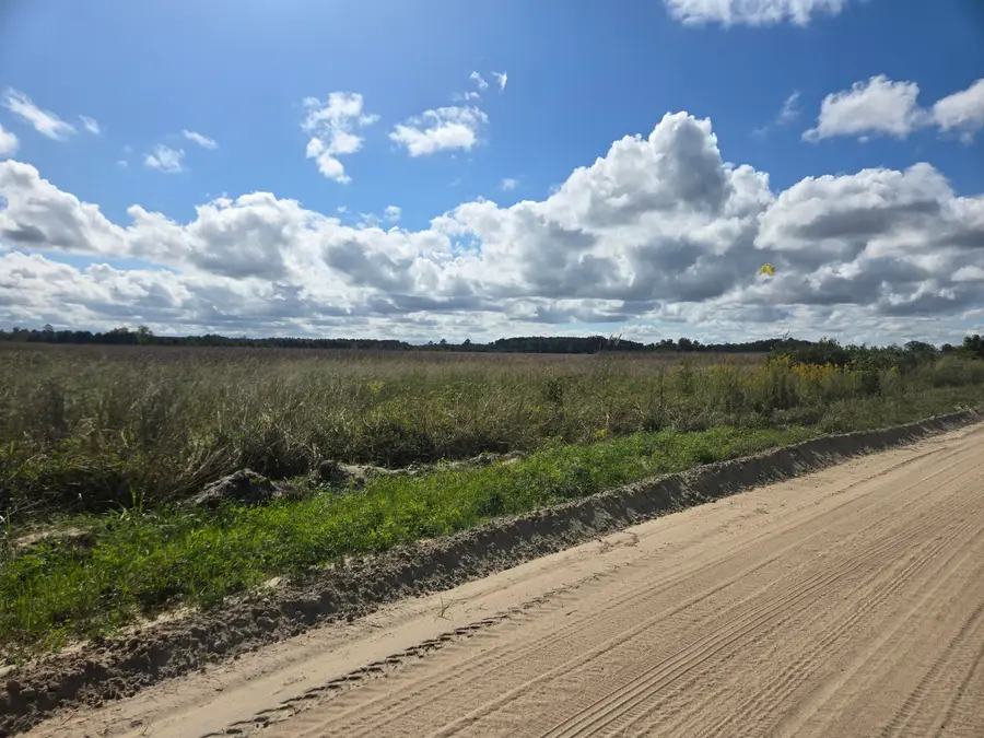 0 Blewer Street, Cope, SC 29038 - Image #3