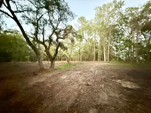 191 Melrose Place, Moncks Corner, SC 29461