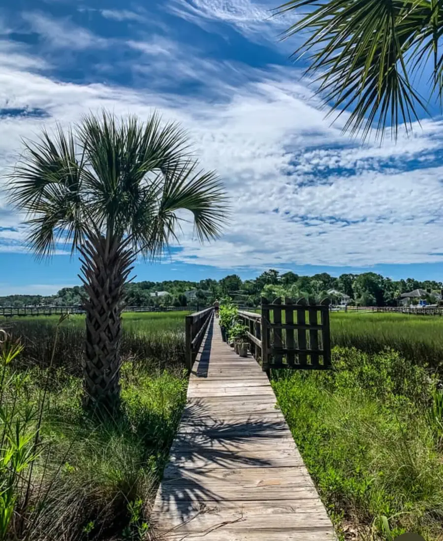 1756 Greenspoint Court, Mount Pleasant, SC 29466 - #2