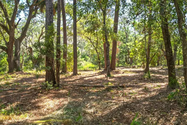 Lot 31 Foredeck Lane, Edisto Island, SC 29438