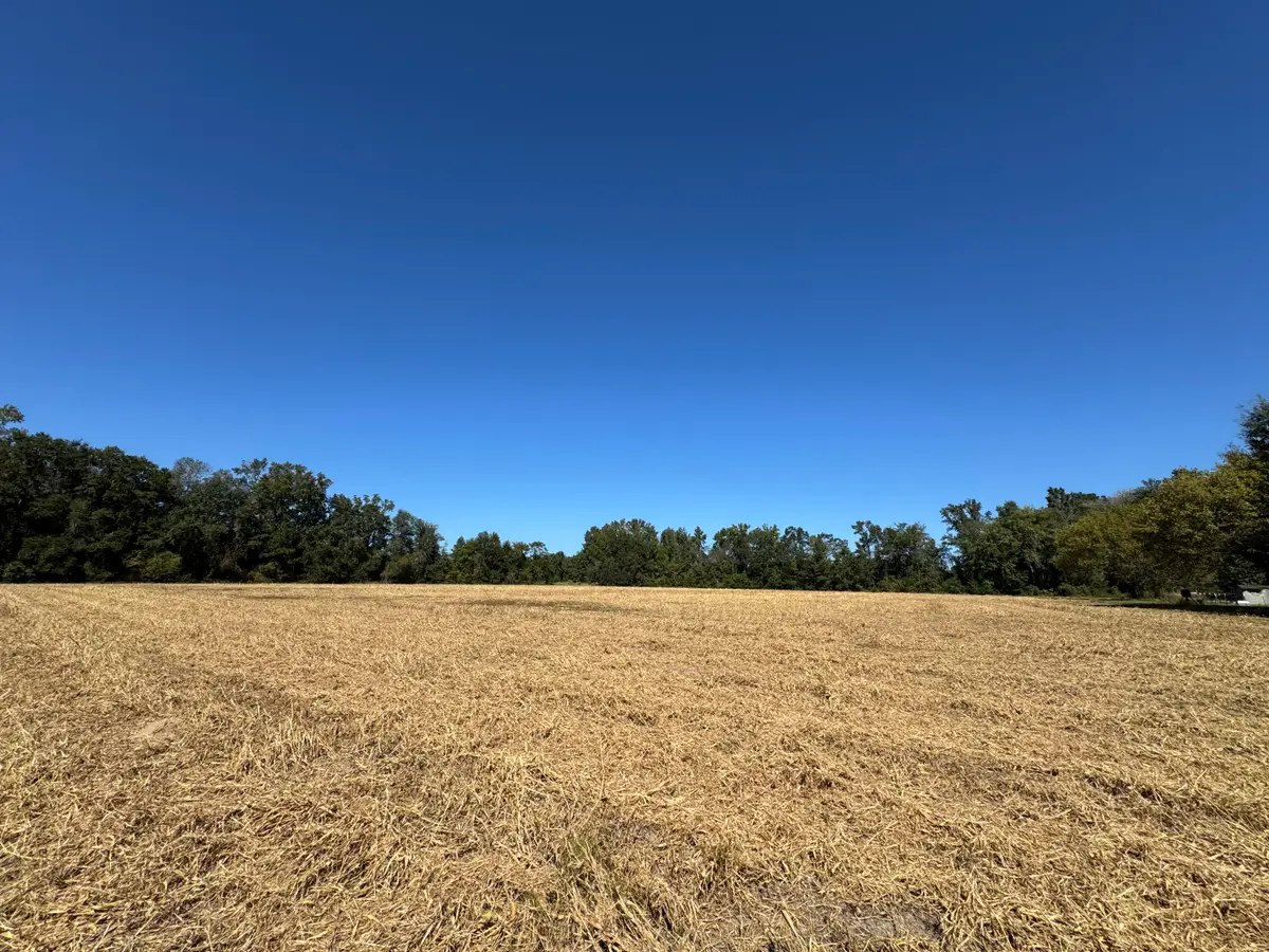 0 Clarks Hill Drive #3, Saint George, SC 29477 - Image #1