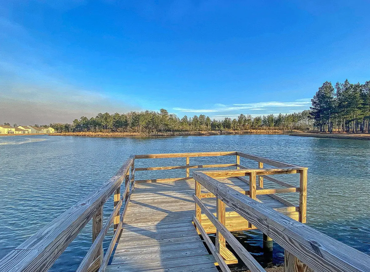185 Whaler Avenue, Summerville, SC 29486 - Image #1