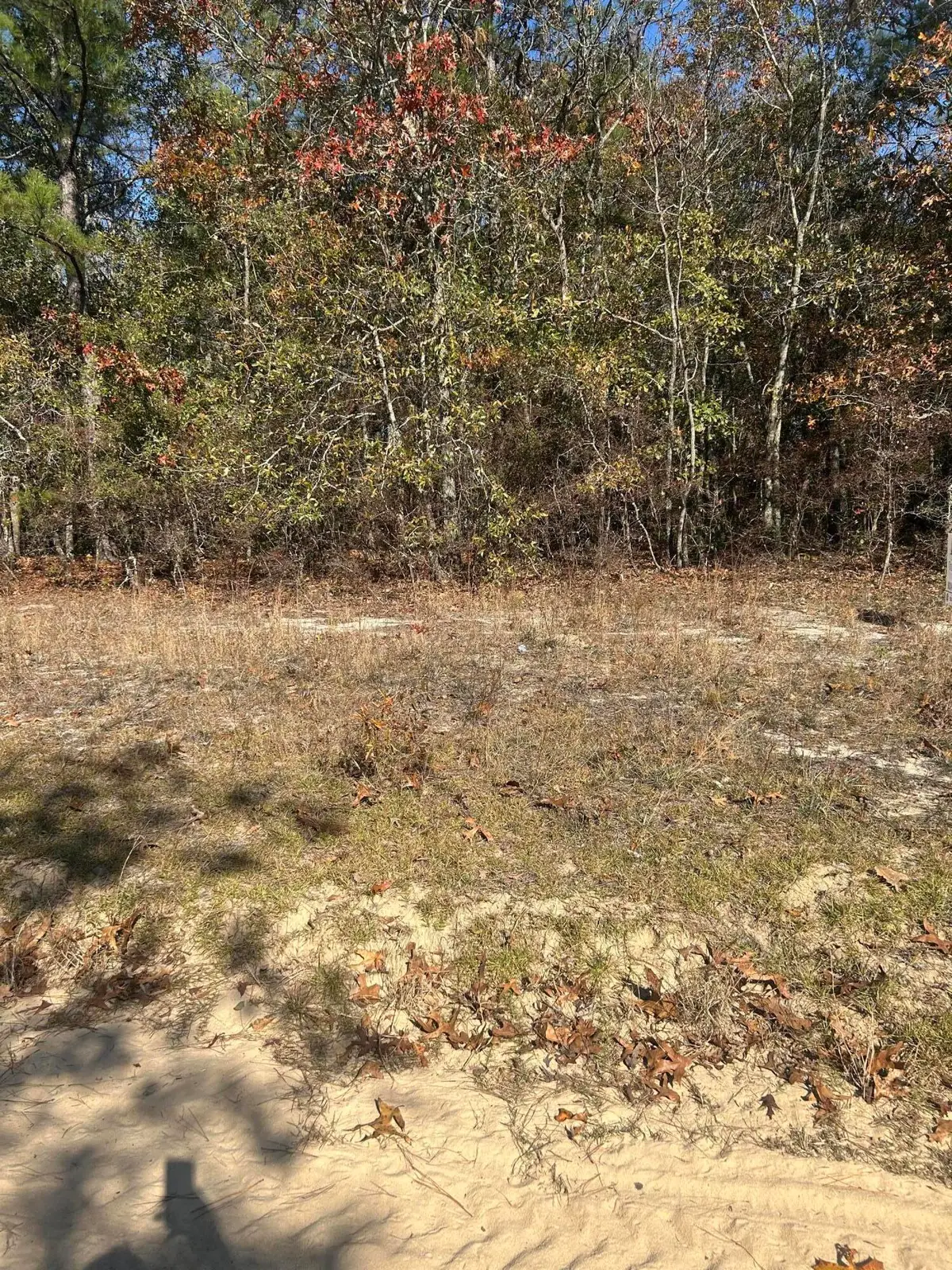 0 Hawthorne Trail, Saint Matthews, SC 29135 - Image #1