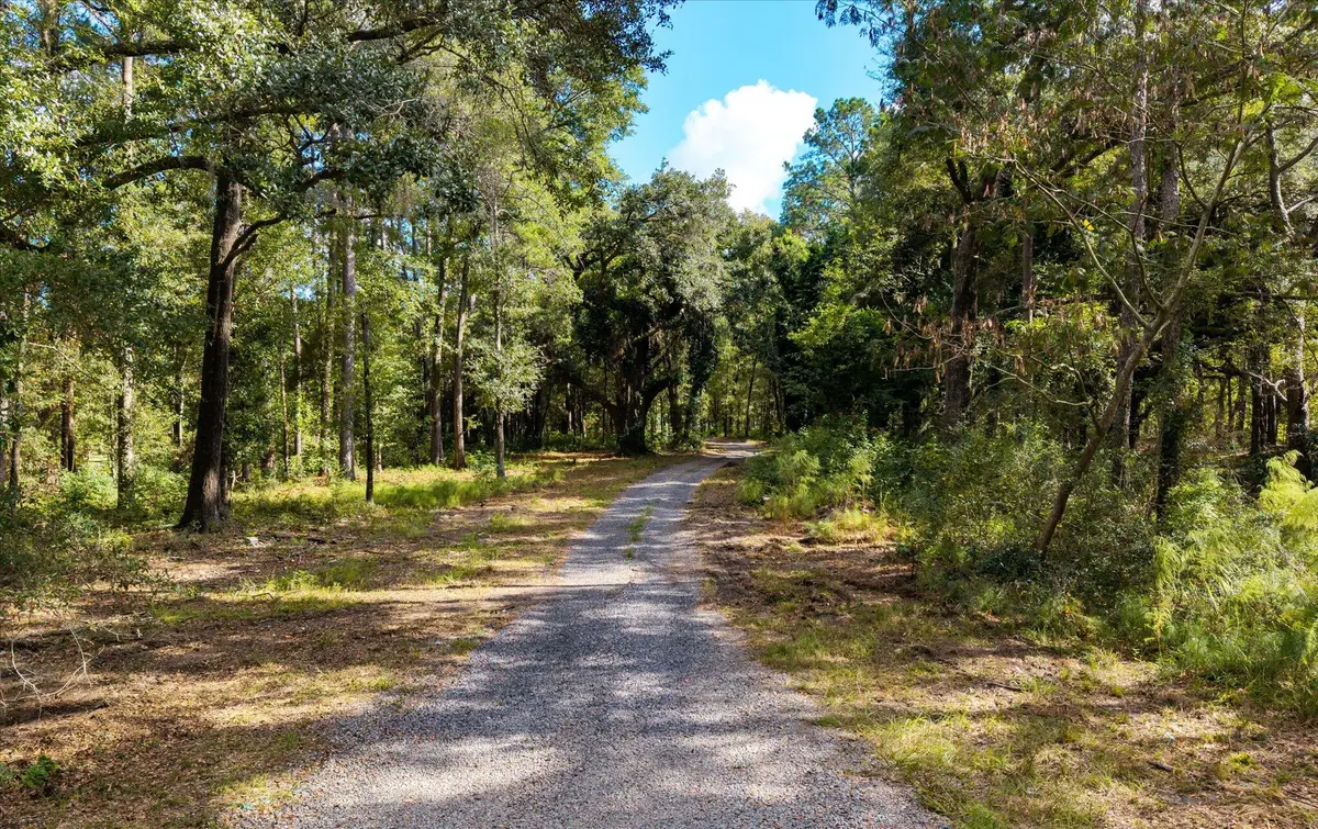 1020 Hidden Acres Path, Johns Island, SC 29455 - Image #1