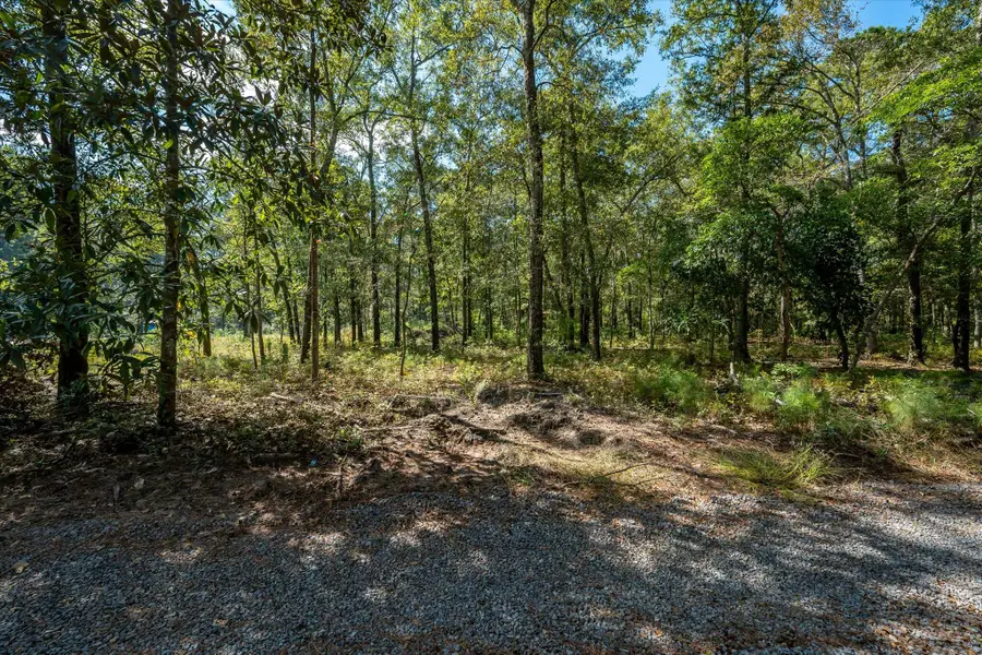 1020 Hidden Acres Path, Johns Island, SC 29455 - Image #3