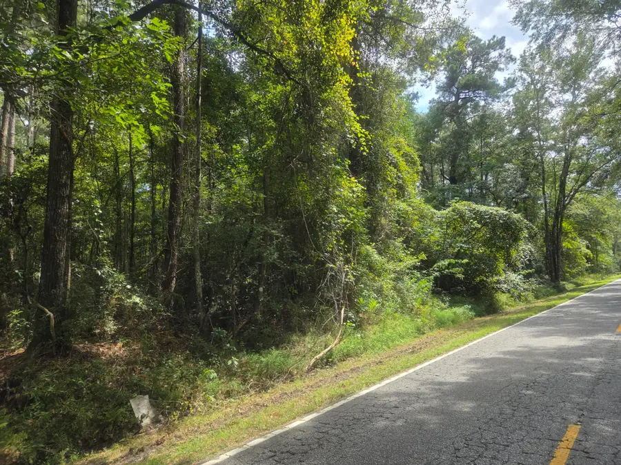 0 Jacksonboro Road, Cottageville, SC 29435 - Image #2